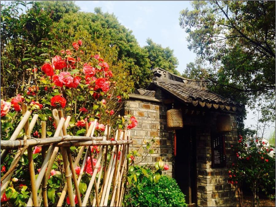 Zhouzhuang Moonlit River In Spring Guzheng Club House Suzhou  Buitenkant foto